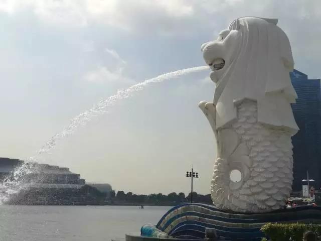 点击查看原图
